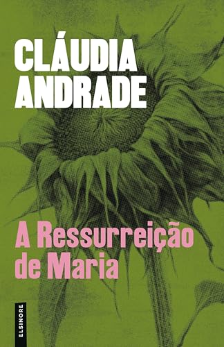 A Ressurreição de Maria (Kindle Edition)