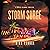 Storm Surge (Kenzie Gilmore #7)