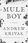 Mule Boy