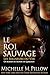 Le Roi Sauvage: Un roman du monde de Qurilixen (Les Seigneurs du Var t. 1) (French Edition)