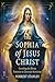The Sophia of Jesus Christ: Unveiling the Divine Feminine in Christian Mysticism