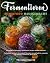 Fermentieren – Superfood Ha...