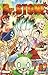 Dr. Stone - Tome 27 (French Edition)