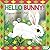 TWO HOOTS Hello Bunny!. by Sharon King-Chai