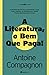 A Literatura, o Bem Que Paga!