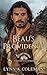 Beau's Providence by Lynn A. Coleman
