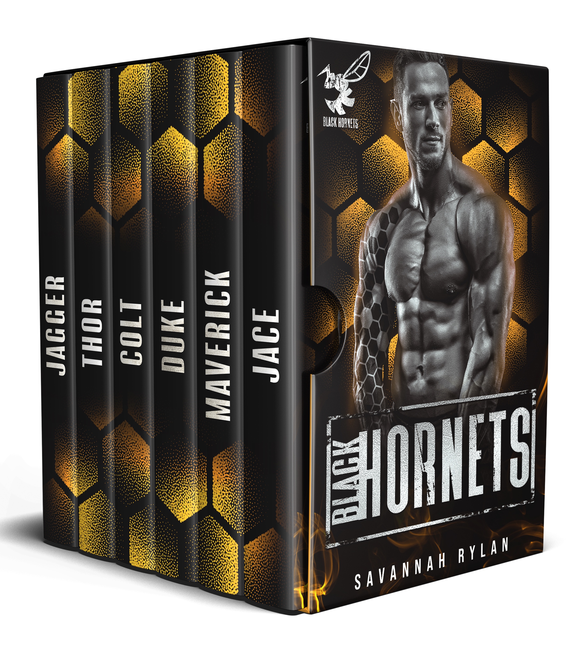 The Black Hornets MC Series: Books 1-6 (Kindle Edition)