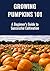 Growing Pumpkins 101: A Beg...