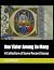 One Viator Among So Many: A...