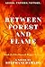 Between Forest and Flame (Dawn and Dagger Trilogy)