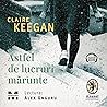 Astfel de lucruri mărunte by Claire Keegan