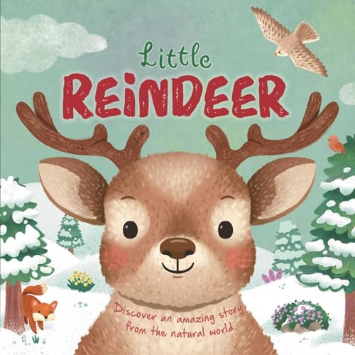 Nature Stories: Little Reindeer (Board Book)