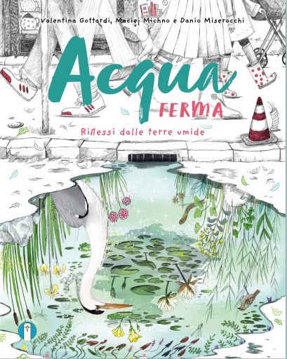 Acqua Ferma (Hardcover)
