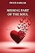 Missing Part Of the Soul by Swati Sarkar