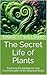 The Secret Life of Plants: ...
