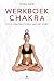 Werkboek chakra's