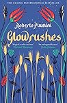 Pushkin Childrens Books Glowrushes. by Roberto Piumini