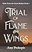 Trial of Flame and Wings by Amy Prokopis