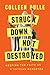 Struck Down, Not Destroyed by Colleen Dulle
