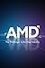 AMD: The Challenger in the ...
