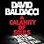 A Calamity of Souls