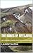 The Runes of Reykjavik an Icelandic journey into Norse mythology by Laurent Aldon