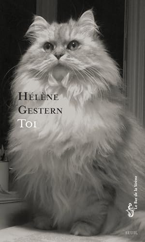 Toi (Kindle Edition)