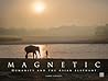 Magnetic: Humanit...