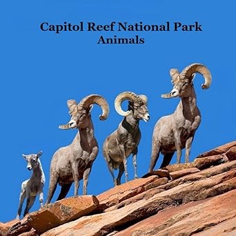Capitol Reef National Park Animals Kids Book: Great Children's Animals Book Lifelike Images Fun Facts