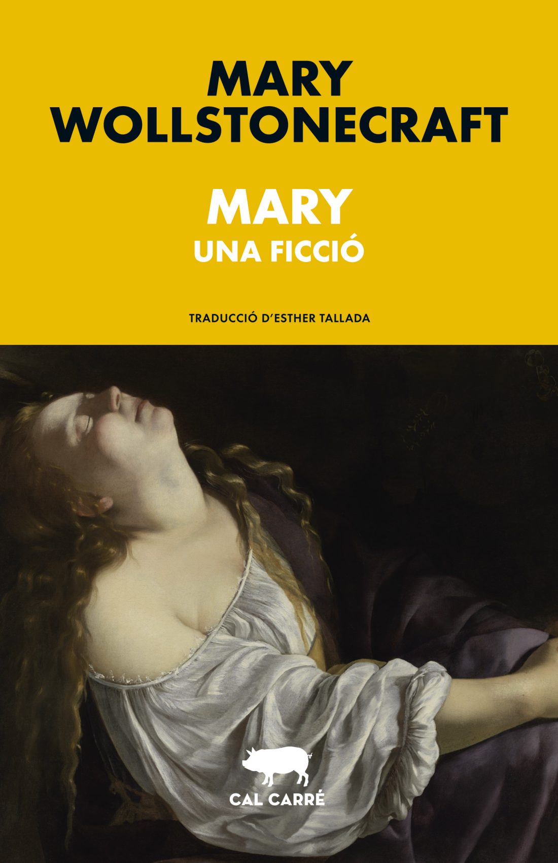 Mary: Una ficció
