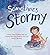 Sometimes Stormy by Amanda       Davis