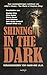 SHINING IN THE DARK: Zum zwanzigjährigen Jubiläum von »Lilja's Library - The World of Stephen King« (German Edition)
