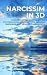 Narcissism in 3D: Understan...