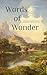 Words of Wonder by Robin Devoe