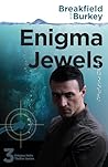 Enigma Jewels by Breakfield and Burkey