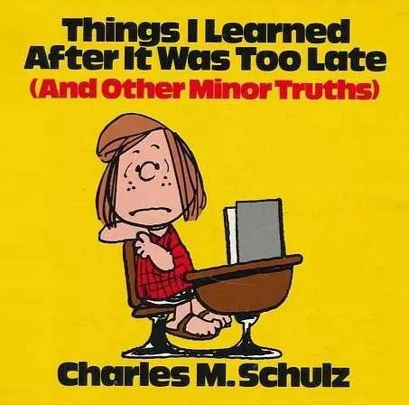 Things I Learned After It Was Too Late: And Other Minor Truths