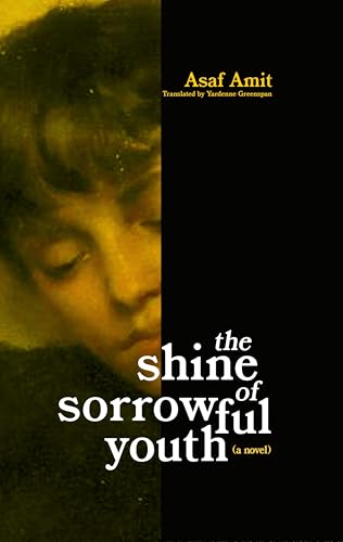 The shine of sorrowful youth (Kindle Edition)