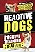 Reactive Dogs: Positive Tra...