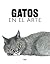 Gatos en el arte