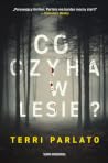 Co czyha w lesie?