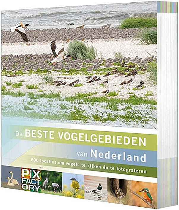 De beste vogelgebieden van Nederland