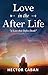 Love In The After Life: A L...
