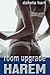 Room Upgrade Harem by Dakota Hart