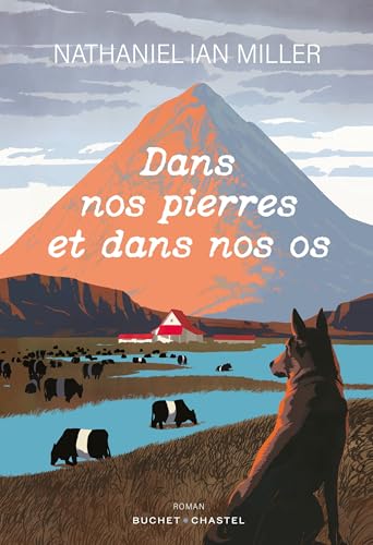 Dans nos pierres et dans nos os (Paperback)