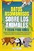 Datos Asombrosos Sobre Los ...