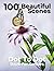 100+ Beautiful Scenes Dot T...