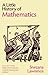 A Little History of Mathematics (Little Histories)