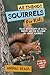 All Things Squirrels For Ki...
