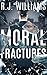 Moral Fractures by R.J. Williams