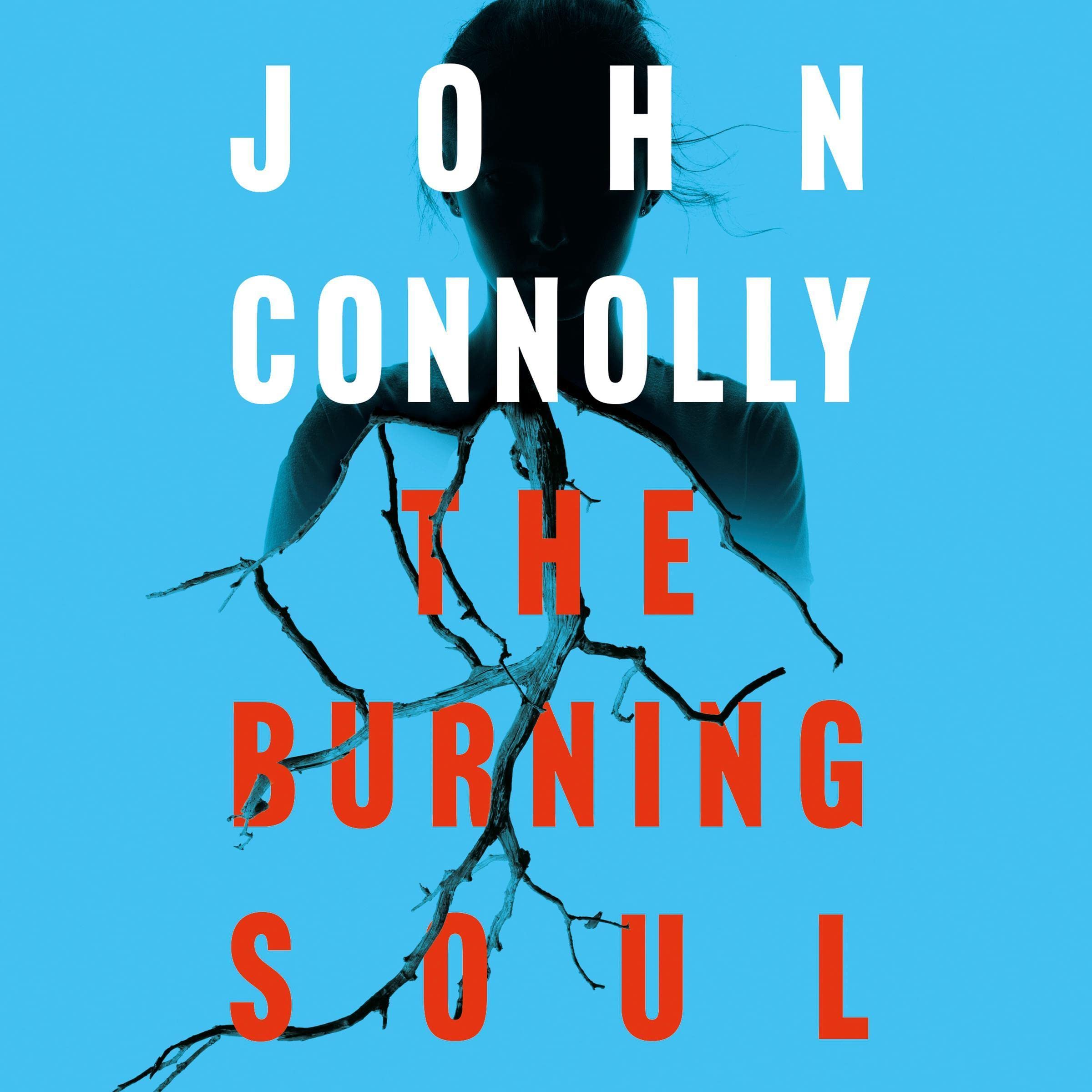 The Burning Soul: A Charlie Parker Thriller, Book 10